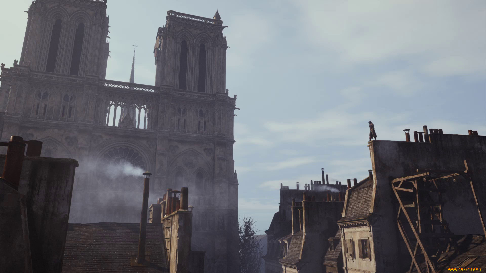 assassin`s creed unity,  , - assassin`s creed unity, , 